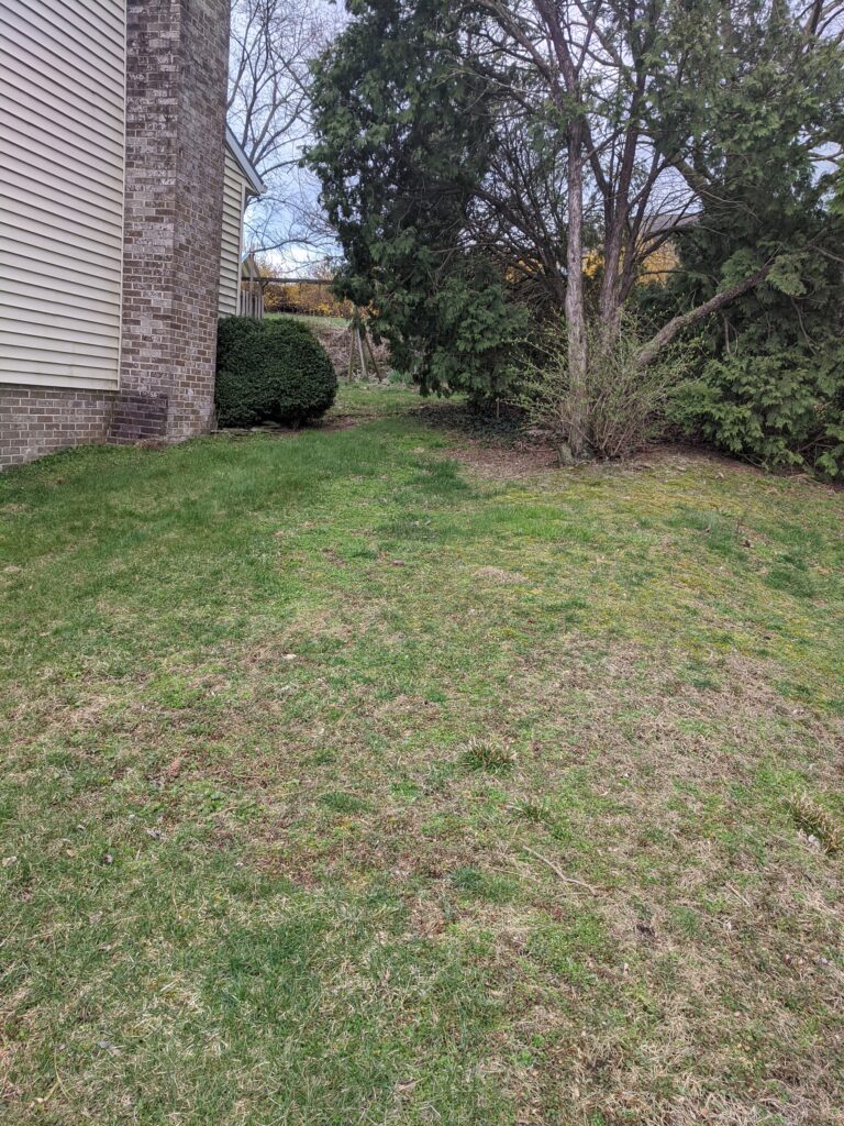 Reseed grass beside house
